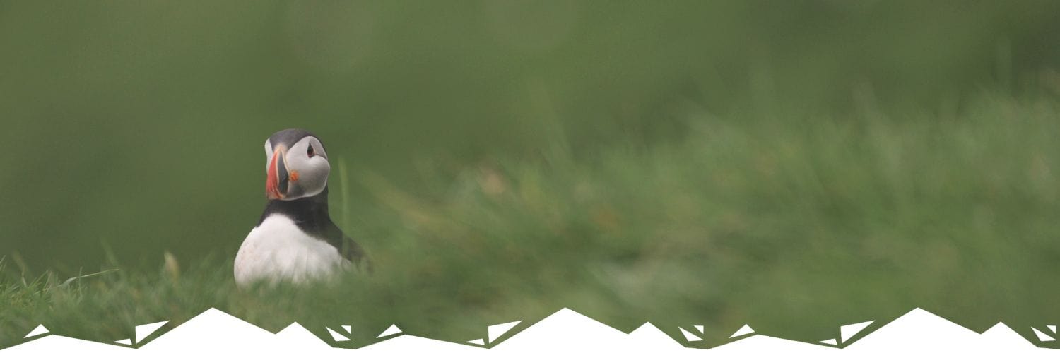 Explore AukCliff’s Puffin Pride Collection—sustainably crafted apparel featuring our iconic puffin logo. Designed for eco-conscious adventurers who proudly wear their values outdoors.