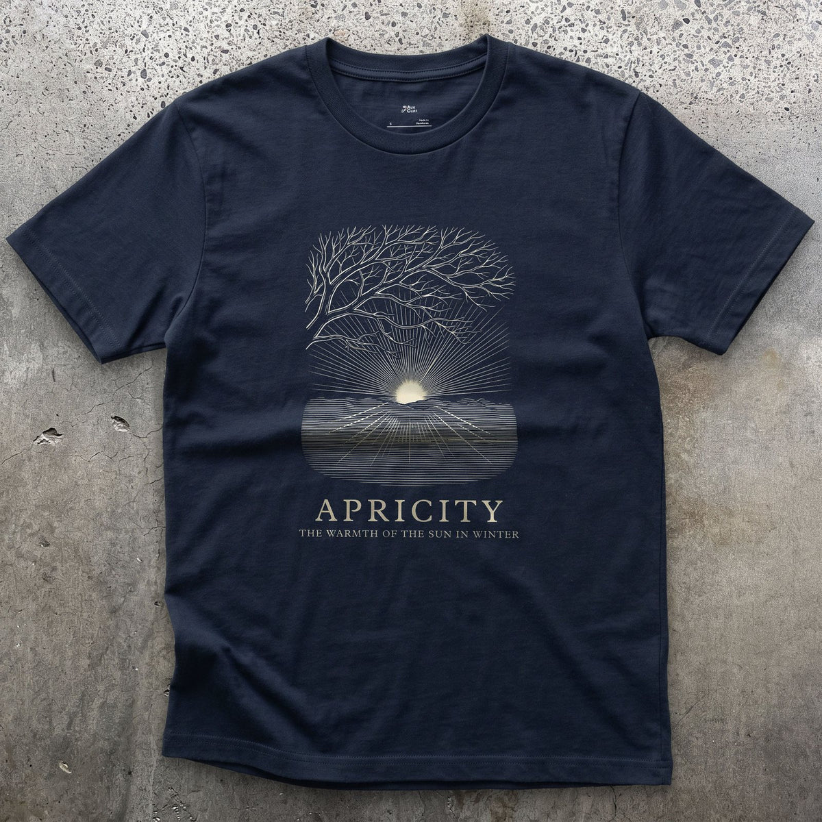 Apricity, the Warmth of the Sun in Winter design on a Navy Gildan Softstyle t-shirt