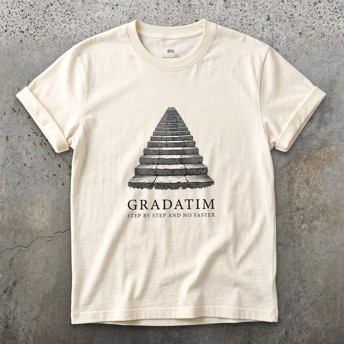 Gradatim, Step by Step and No Faster design on a Natural Gildan Softstyle t-shirt