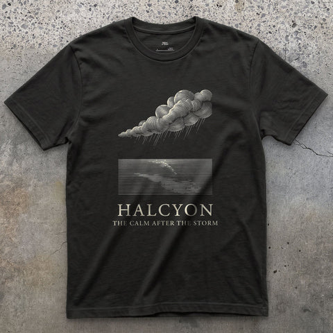 Halcyon, the Calm After the Storm design on a Black Gildan Softstyle t-shirt