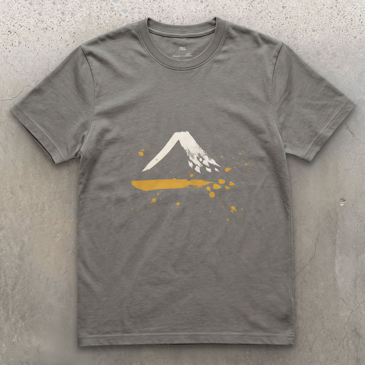 Snow on the Shaded Side design on a Charcoal Gildan Softstyle t-shirt