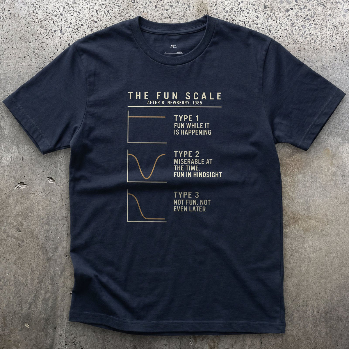 The Fun Scale From Type 1 to Type 3 design on a Navy Gildan Softstyle t-shirt