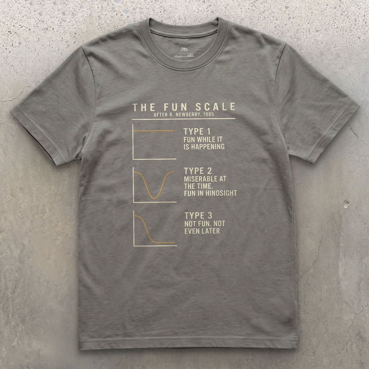 The Fun Scale From Type 1 to Type 3 design on a Charcoal Gildan Softstyle t-shirt