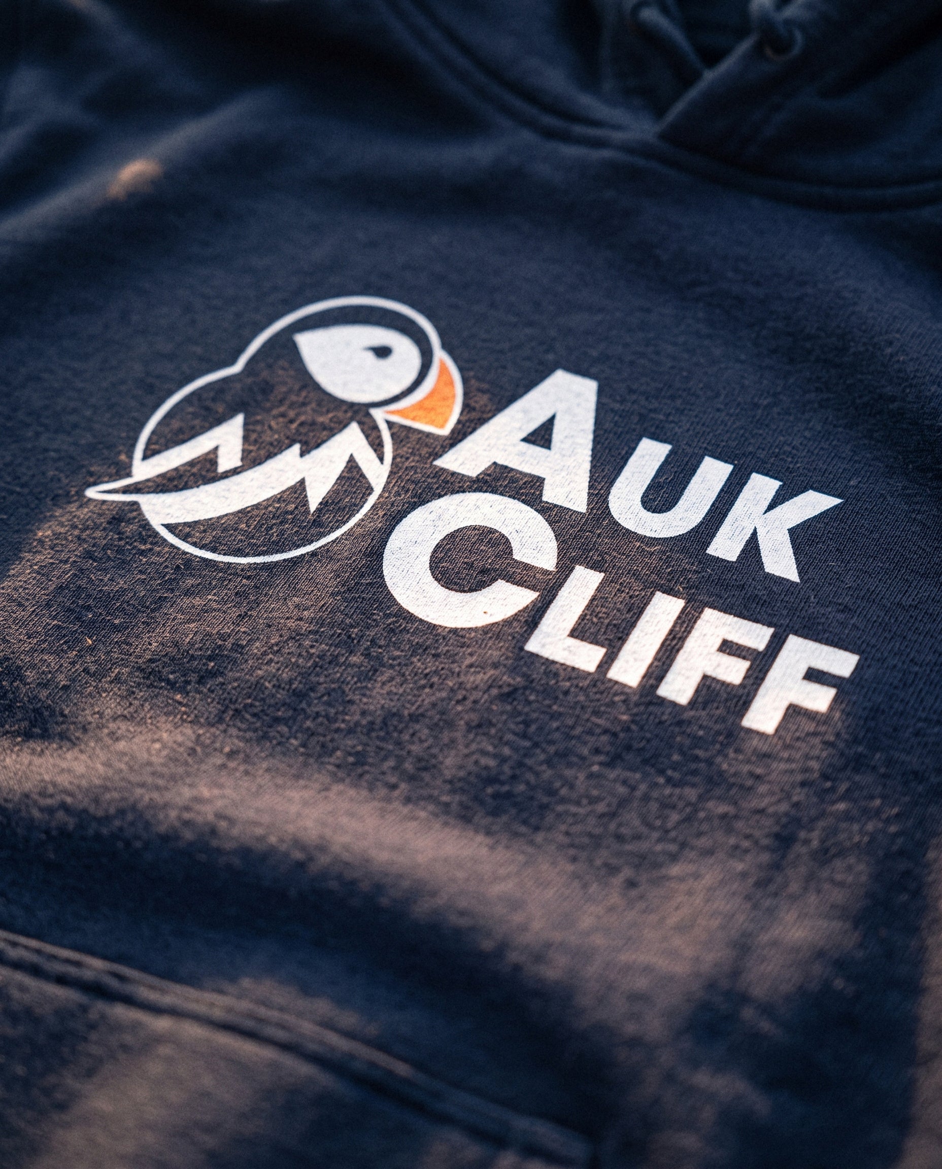 Why a puffin