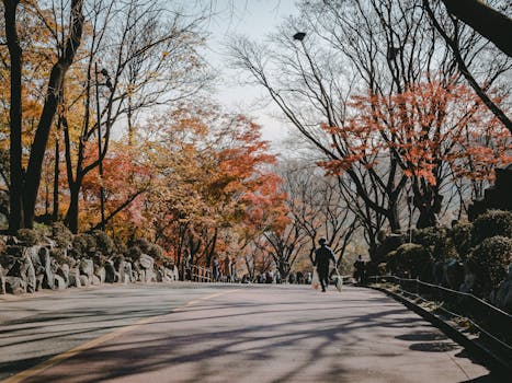 City Trails: Best Urban Hiking Routes Around the World