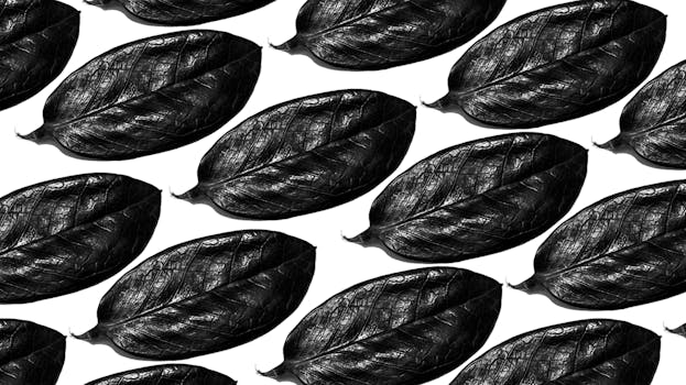 Nature-Inspired Graphic Tees: Why Art Matters in Outdoor Apparel