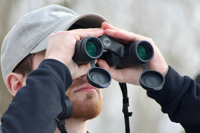 What to Wear Birdwatching: Complete Clothing Guide for Every Season