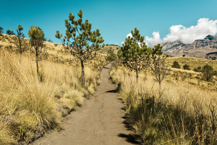 Trail Running: How Runners Shape the Trails We Love