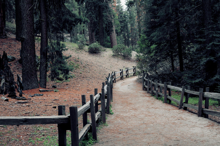 Outdoor Adventures in the USA: National Parks and Epic Trails