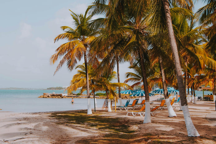 Caribbean Biking Adventures: Island Trails and Coastal Rides