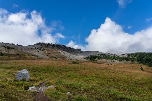 Best Hikes in Washington State: Rainier, Olympics, and Cascades