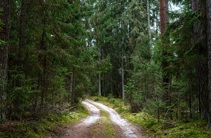 Backcountry Rangers: Preserving the Trails We Love