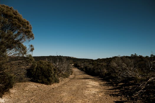 The Bibbulmun Track: Western Australia's Epic Long-Distance Trail