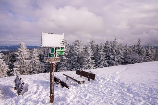 Hiking the Black Forest: Germany's Most Beautiful Trail Region
