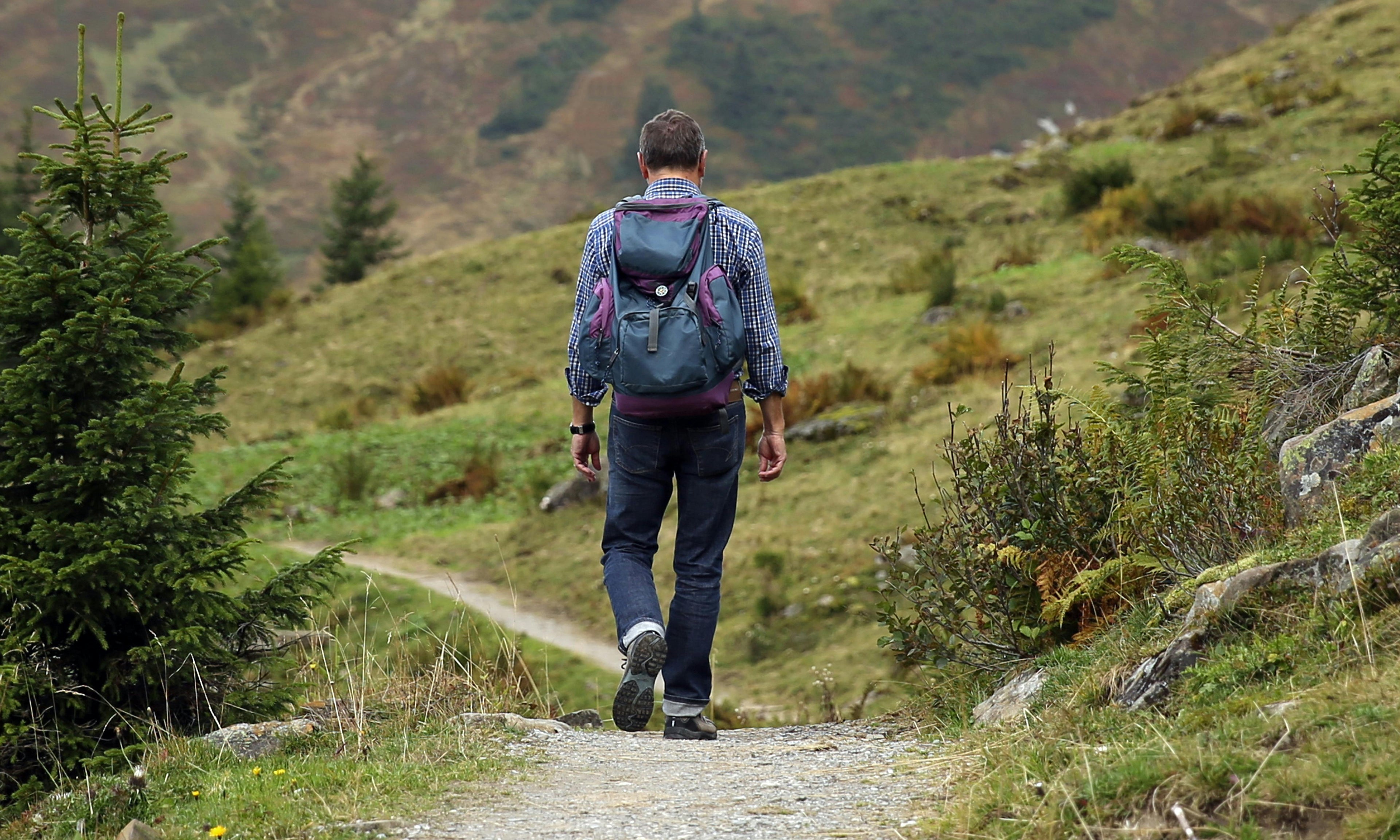 A lone hiker walks along a mountain path surrounded by lush greenery and scenic views.