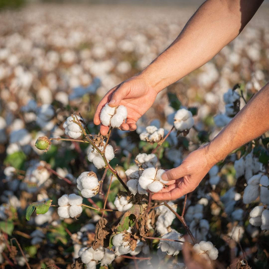 AukCliff thoughtfully made cotton products — responsibly sourced materials.