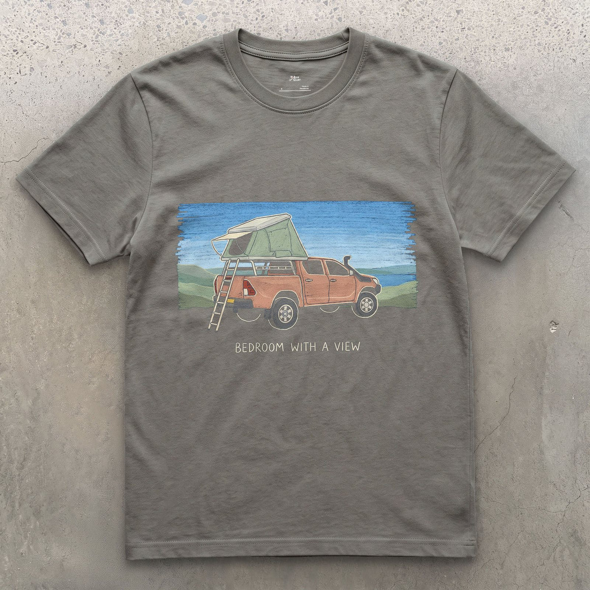 Bedroom With a View, Ladder to the Roof design on a Charcoal Gildan Softstyle t-shirt