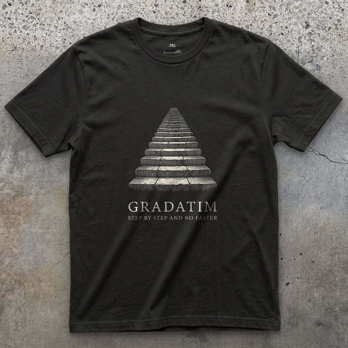 Gradatim, Step by Step and No Faster design on a Black Gildan Softstyle t-shirt