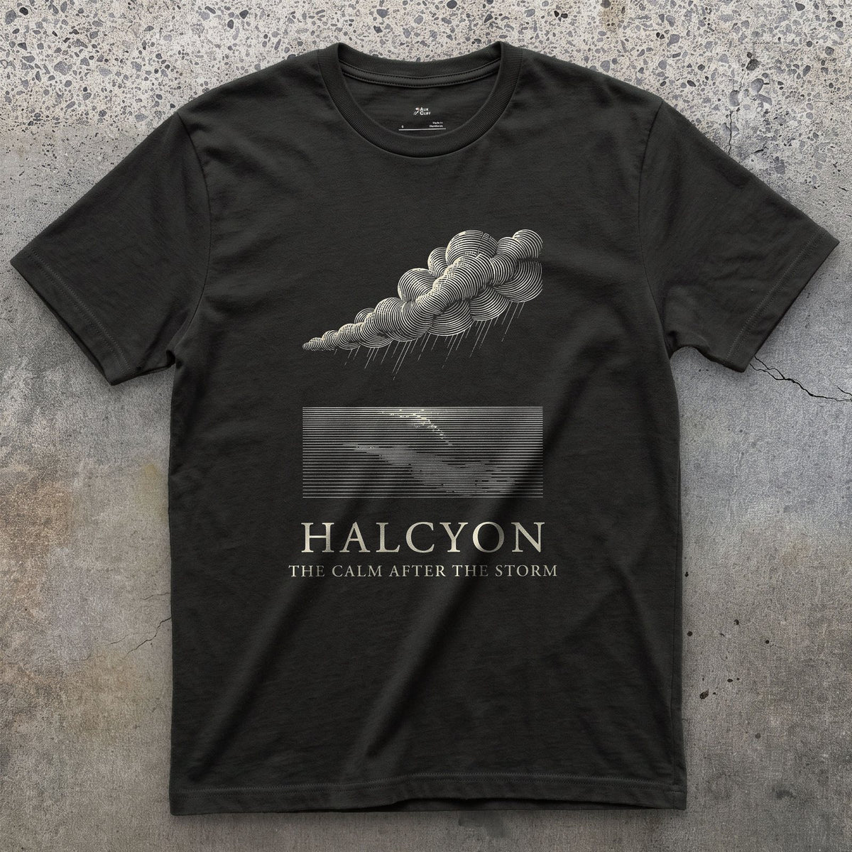 Halcyon, the Calm After the Storm design on a Black Gildan Softstyle t-shirt