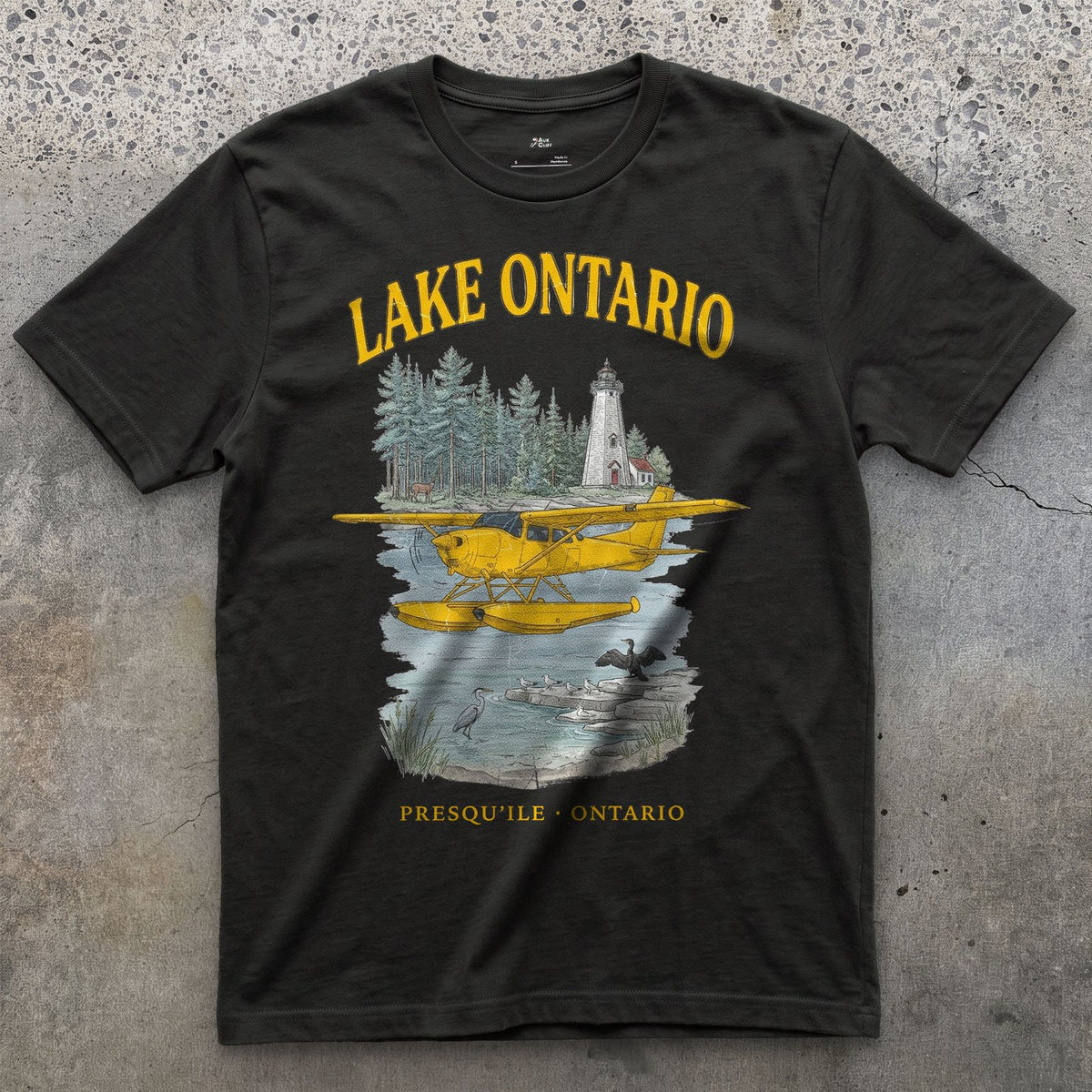 Lake Ontario Bush Plane design on a Black Gildan Softstyle t-shirt