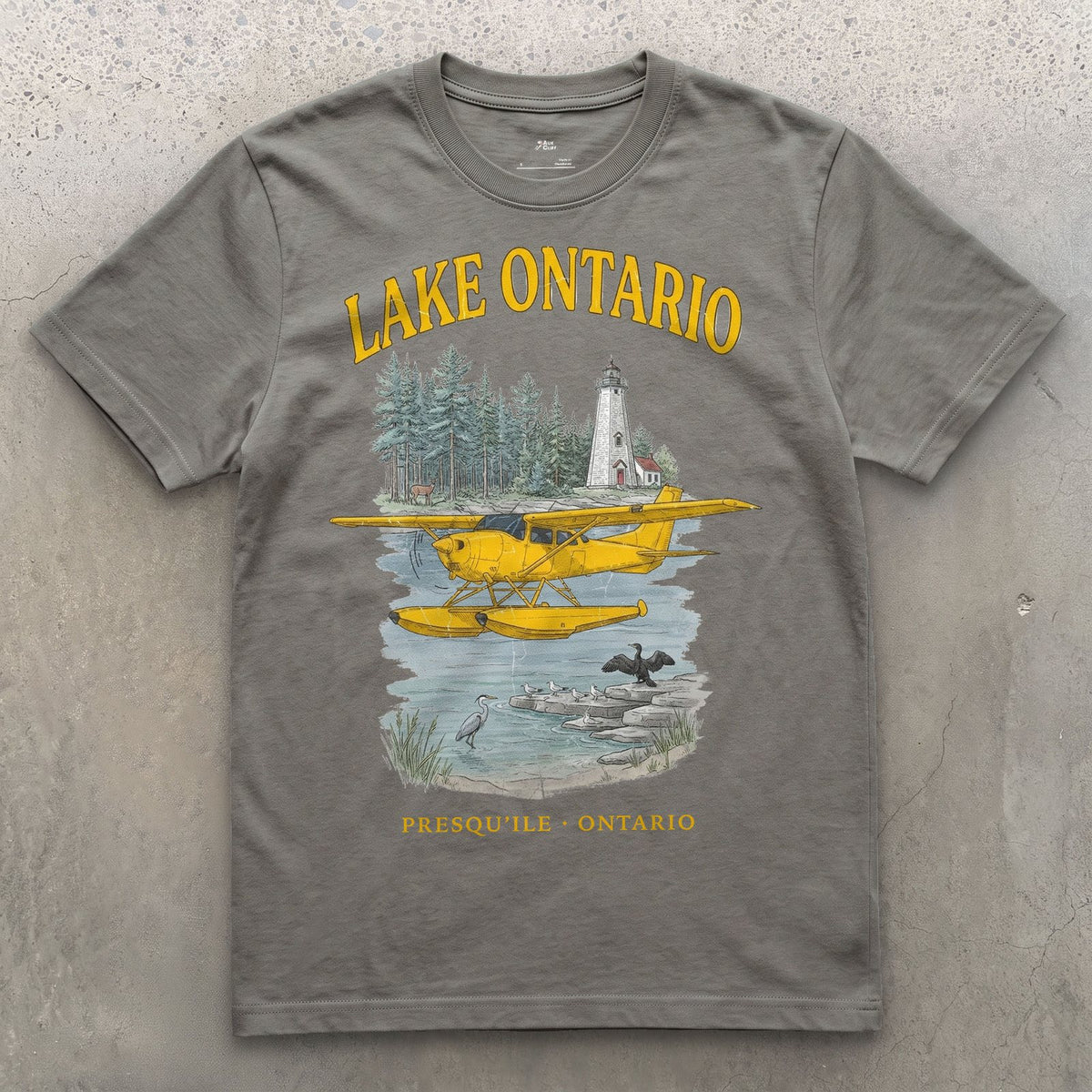 Lake Ontario Bush Plane design on a Charcoal Gildan Softstyle t-shirt