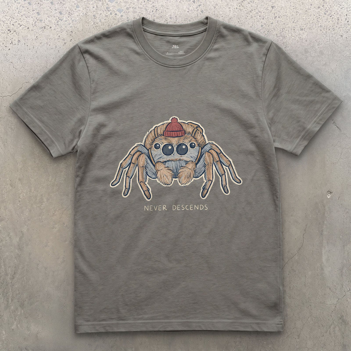 Spider, Climbs but Never Descends design on a Charcoal Gildan Softstyle t-shirt