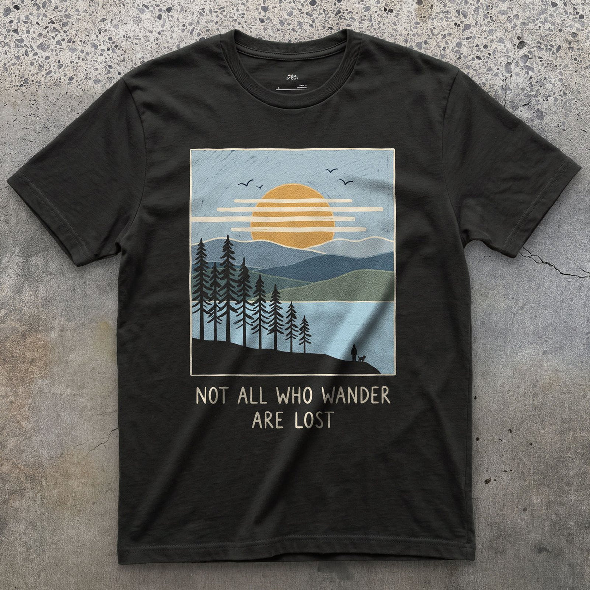 Not All Who Wander Are Lost design on a Black Gildan Softstyle t-shirt
