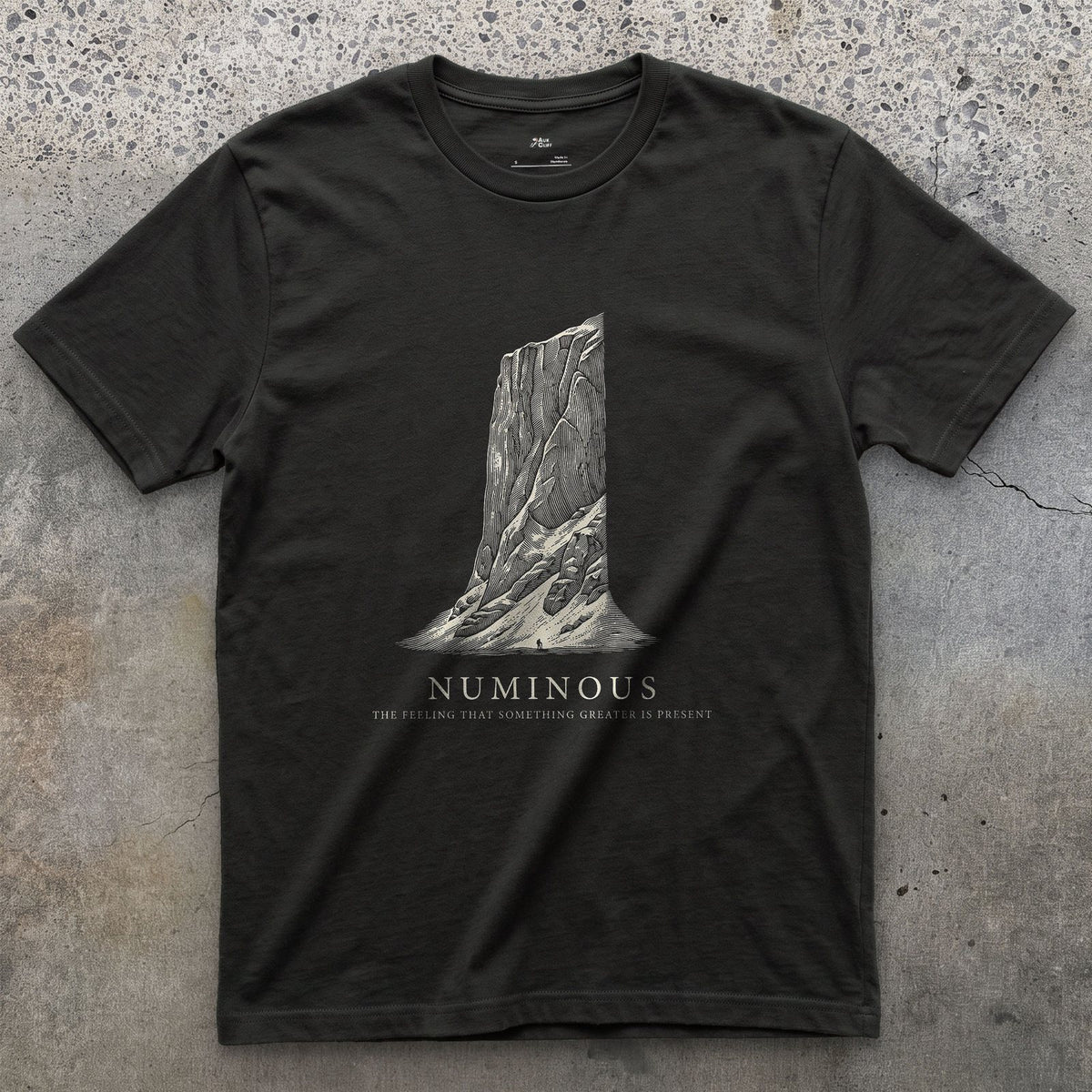 Numinous, the Feeling That Something Greater is Present design on a Black Gildan Softstyle t-shirt