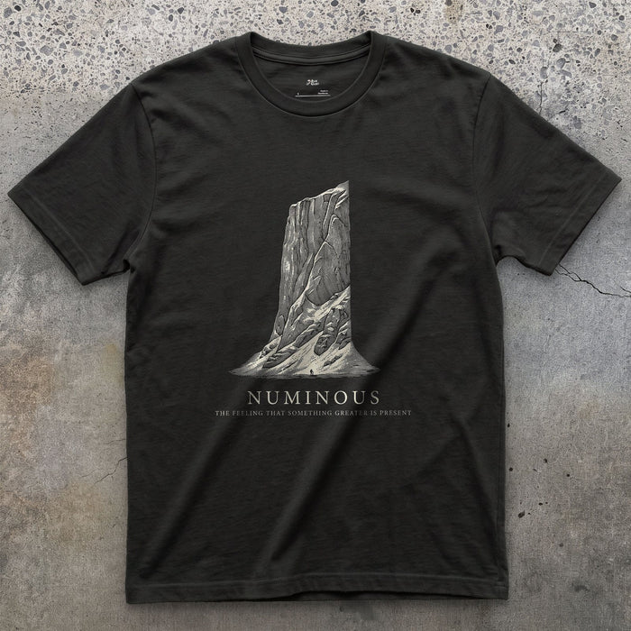 Numinous, the Feeling That Something Greater is Present design on a Black Gildan Softstyle t-shirt