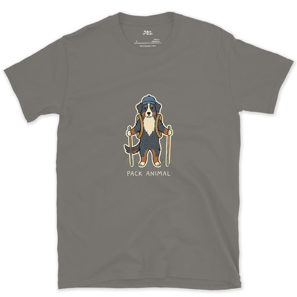 The Pack's Pack Animal, Bernese design on a Charcoal Gildan Softstyle t-shirt