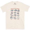 Thirteen Shells of the Shore design on a Natural Gildan Softstyle t-shirt