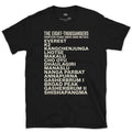 All Fourteen Eight-Thousanders From Everest to K2 design on a Black Gildan Softstyle t-shirt