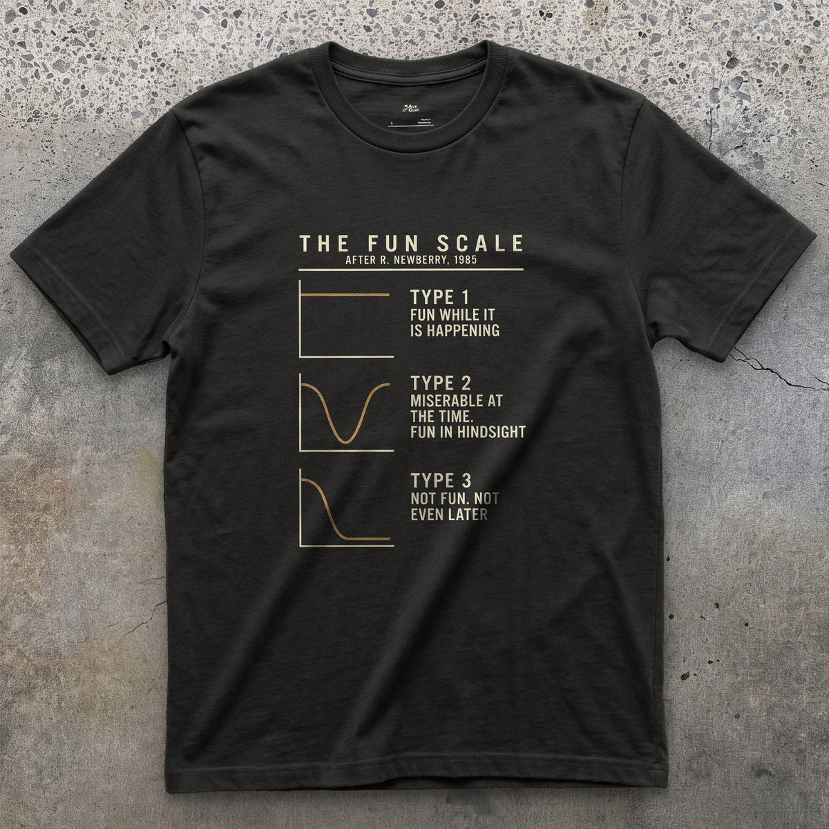 The Fun Scale From Type 1 to Type 3 design on a Black Gildan Softstyle t-shirt