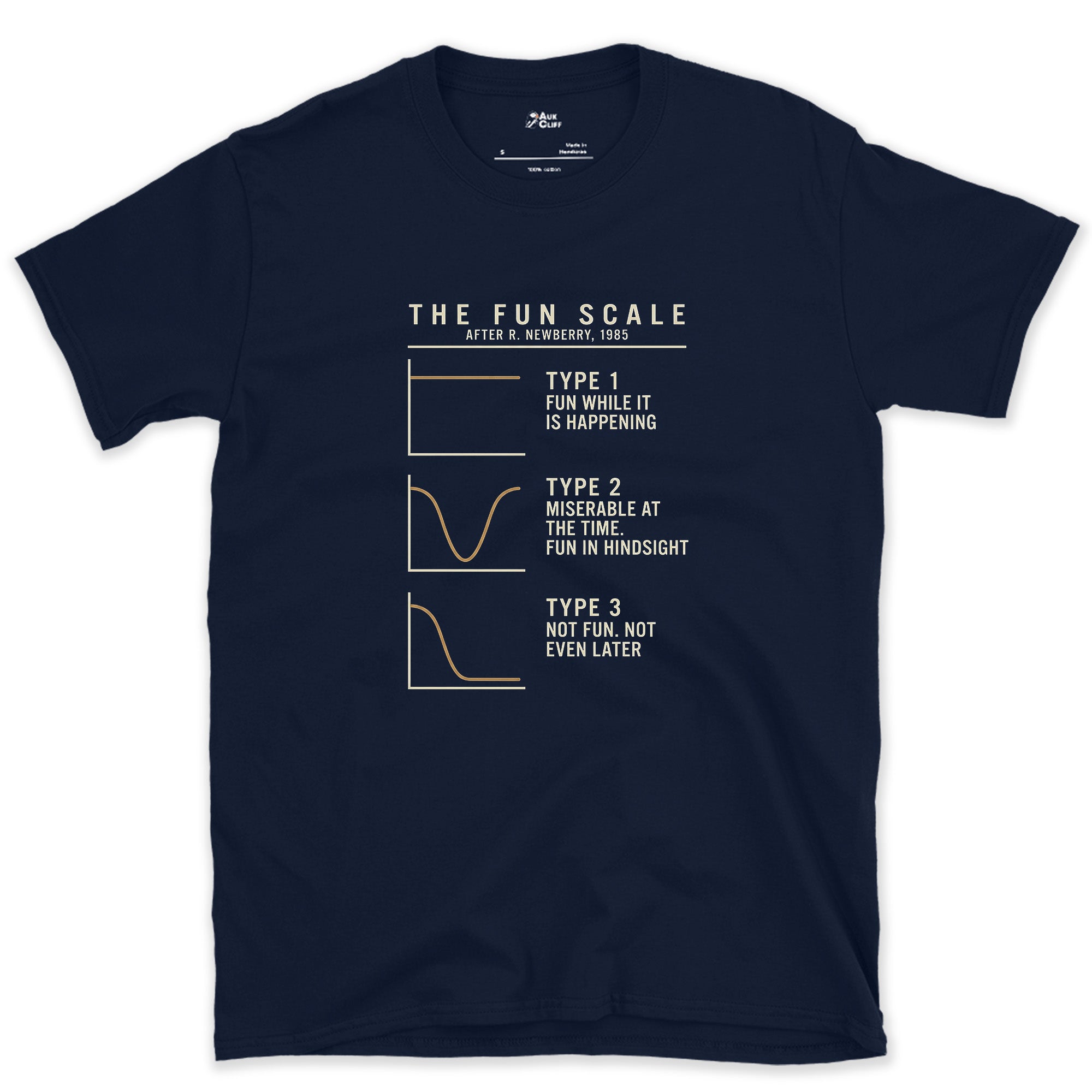 The Fun Scale From Type 1 to Type 3 design on a Navy Gildan Softstyle t-shirt