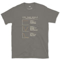 The Fun Scale From Type 1 to Type 3 design on a Charcoal Gildan Softstyle t-shirt
