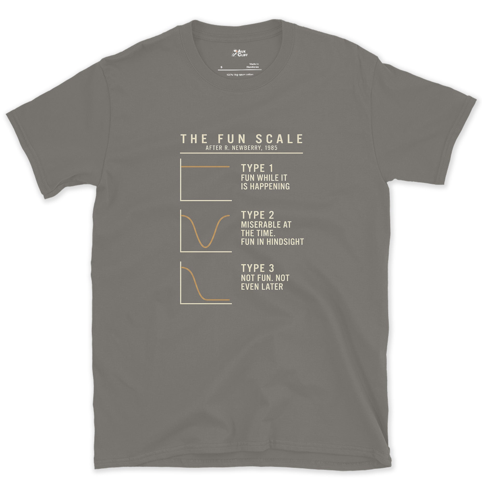 The Fun Scale From Type 1 to Type 3 design on a Charcoal Gildan Softstyle t-shirt