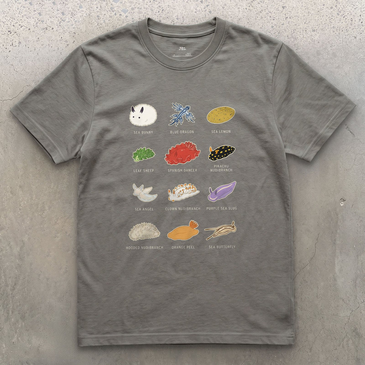 Sea Bunny to Blue Dragon, Twelve Nudibranchs design on a Charcoal Gildan Softstyle t-shirt