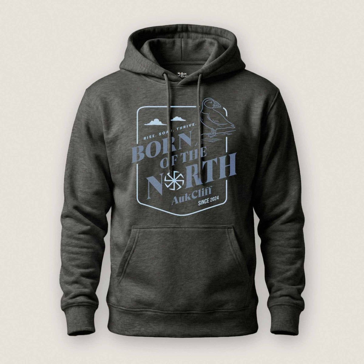 AukCliff® The Origin Collection Hoodie Charcoal Heather / S Born of the North Hoodie