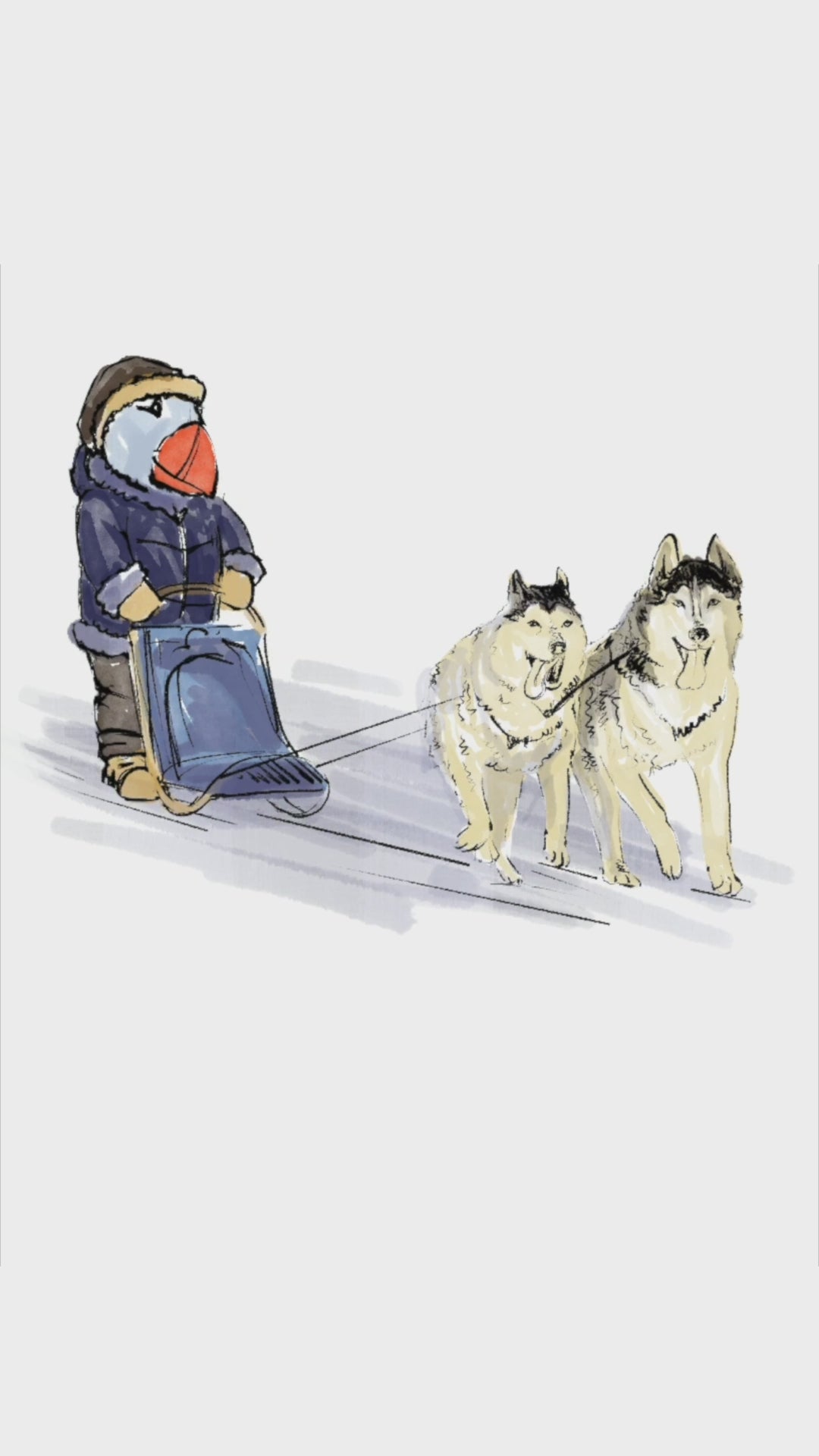Captain Puffin Arctic Dog Sledder Sweatshirt