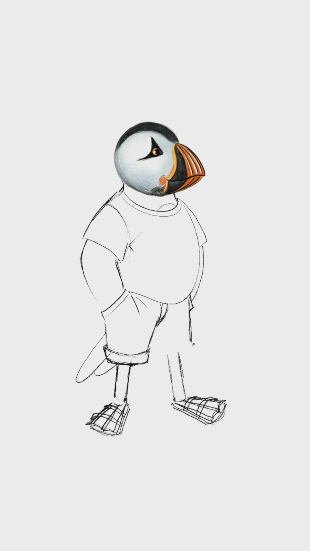 Captain Puffin The Festival Wanderer T-Shirt