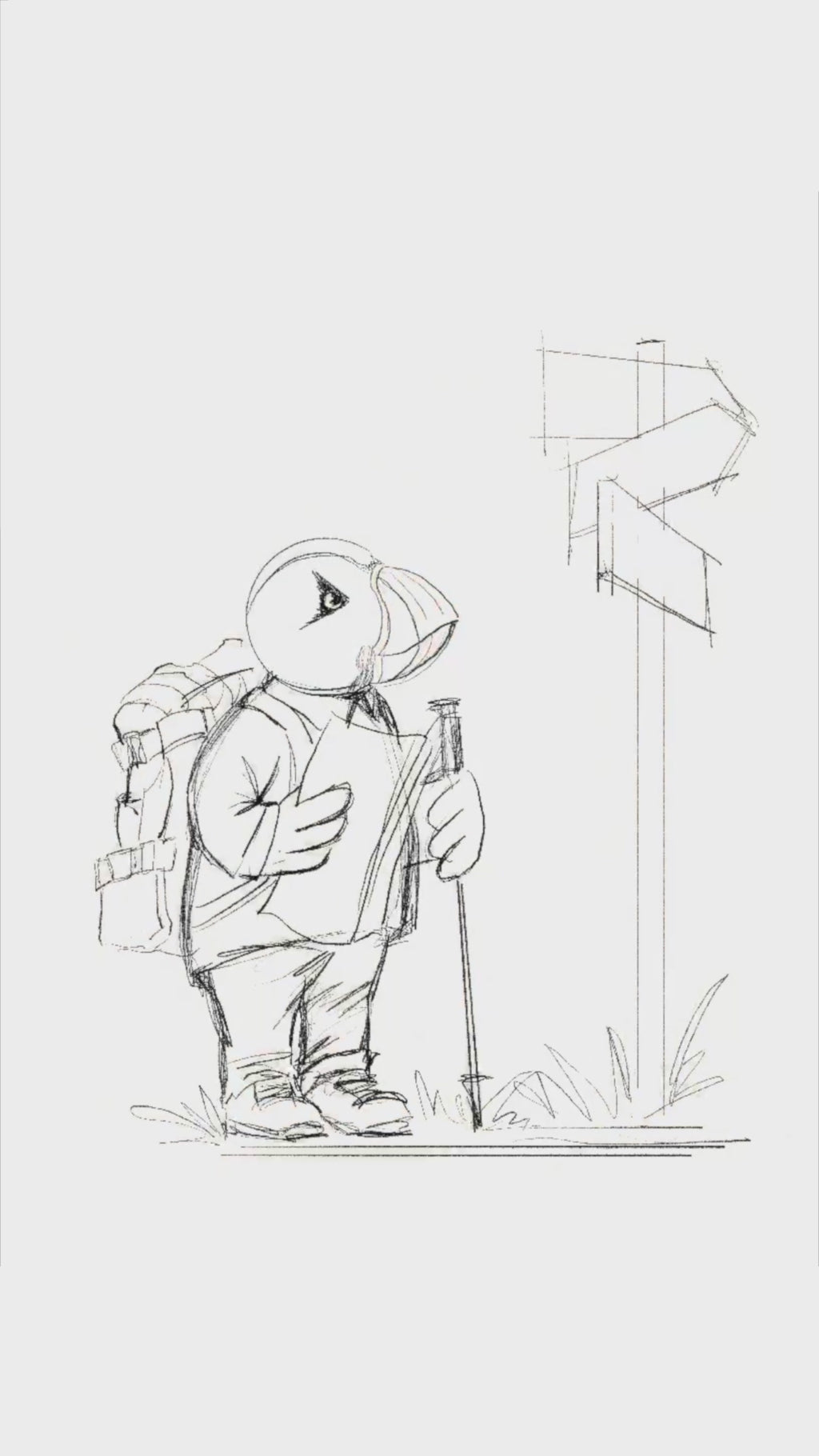 Captain Puffin Hiker T-Shirt