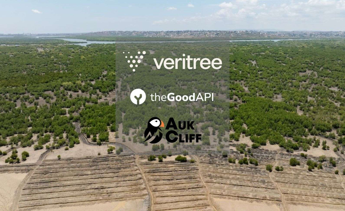 TheGoodAPI sprout-additional-trees AukCliff and The Greener Trails Initiative: Plant Even More Trees with Your Purchase!